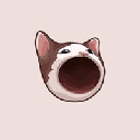 پاپ کت
